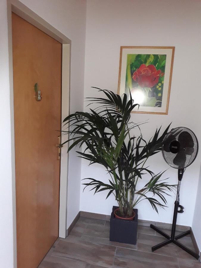 Obsthof Glueck Bed & Breakfast Гамлиц Екстериор снимка